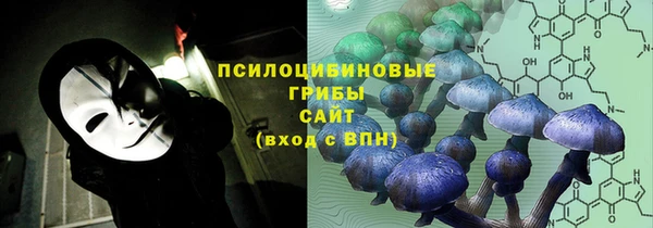 ECSTASY Нея