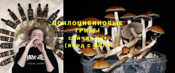 стафф Нефтекумск