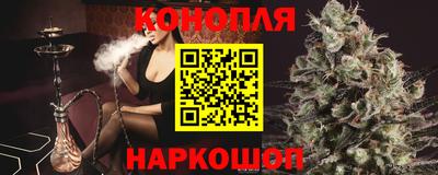 крисы Будённовск