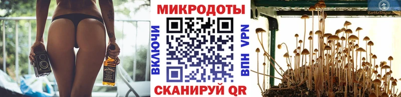 Галлюциногенные грибы MAGIC MUSHROOMS  дарк нет формула  Мытищи 