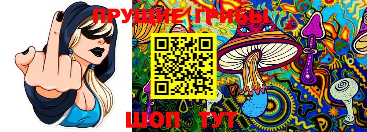 Мытищи  Галлюциногенные грибы Cubensis  Псилоцибиновые грибы ЛСД  Вход с VPN 