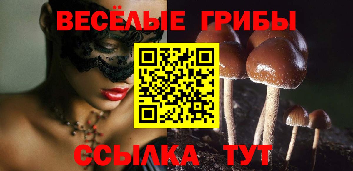 Галлюциногенные грибы Magic Shrooms Мытищи