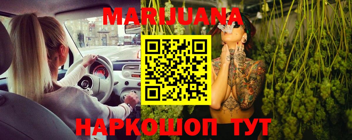 Бошки Шишки SATIVA & INDICA  Шишки марихуана гибрид  Вход с VPN  Мытищи  Конопля планчик 